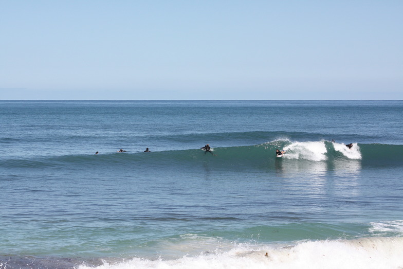 the spot surf report