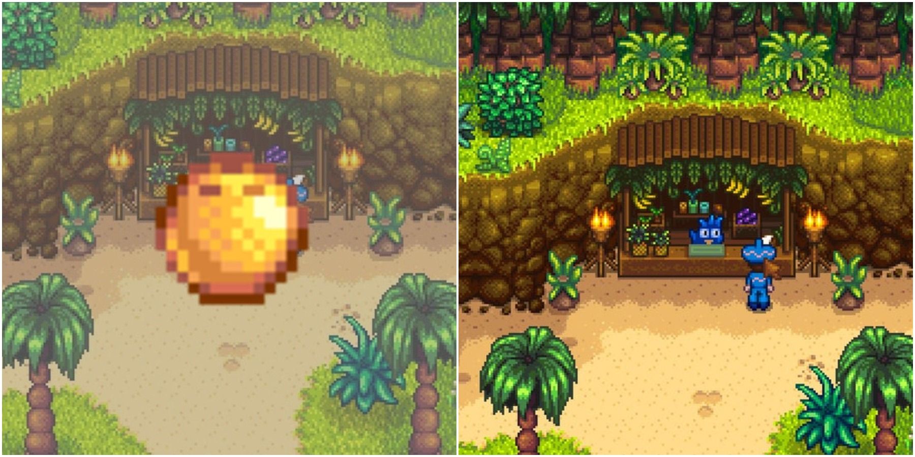 coconut stardew