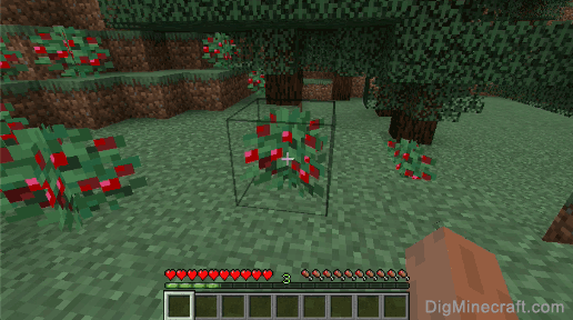 how to grow sweet berries in minecraft