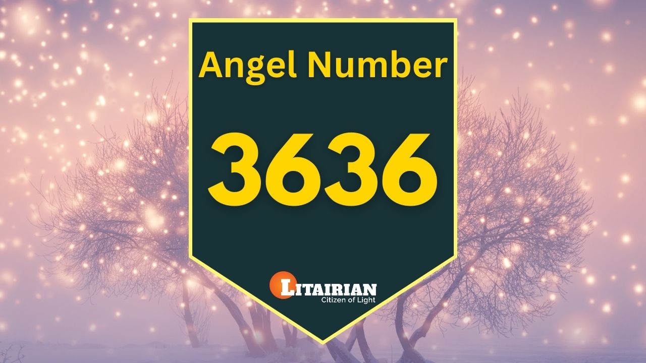 3636 angel number