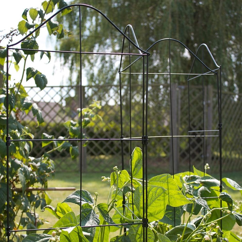 climbing frame for plants