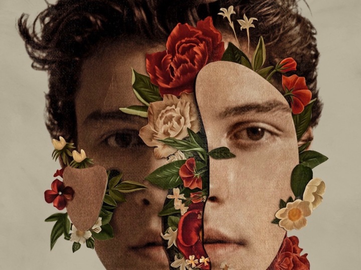 foto album shawn mendes