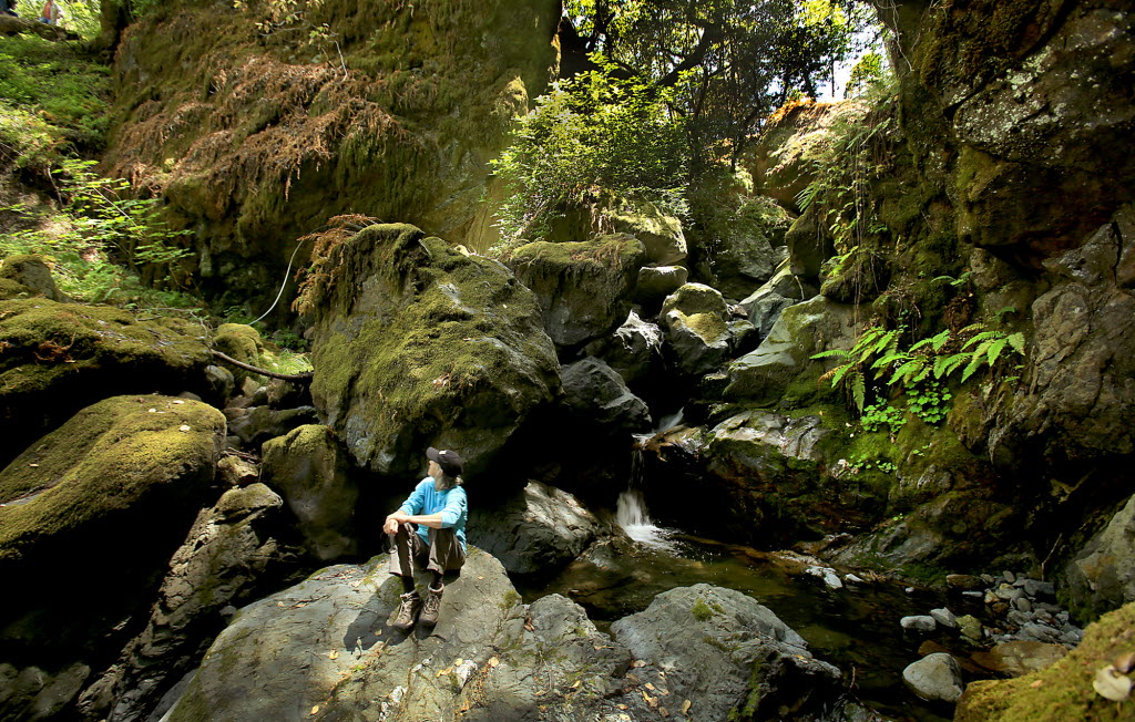 sonoma coast state park willow creek addition