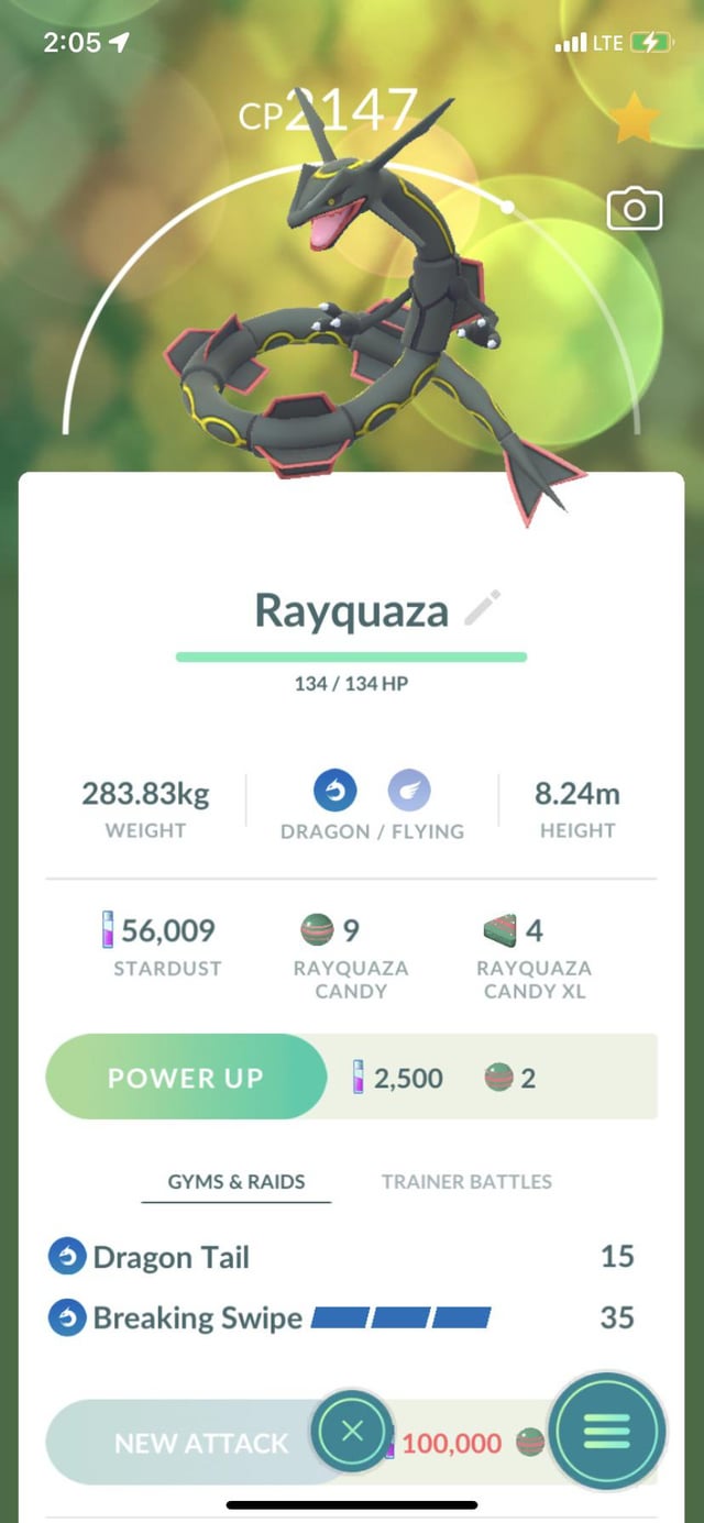 rayquaza best moveset