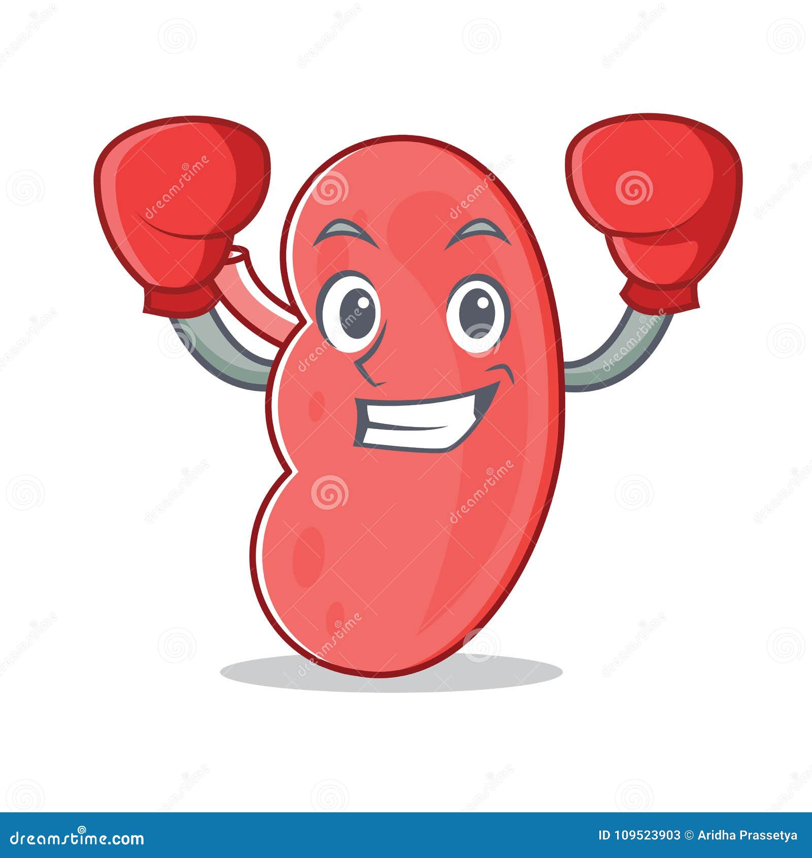 kidney cartoon images