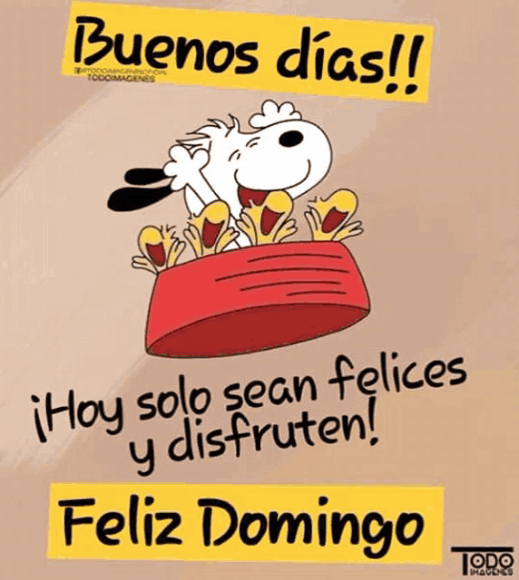 buenos días feliz día domingo