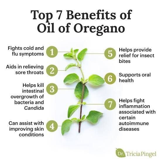 oregano oil side effects