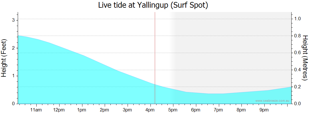 yallingup surf report
