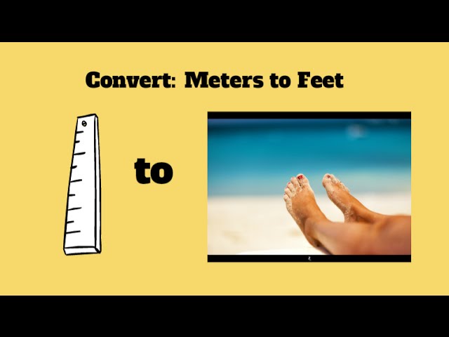 22 meters in feet