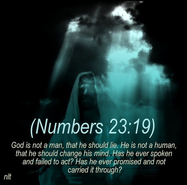 numbers 23 19 nlt