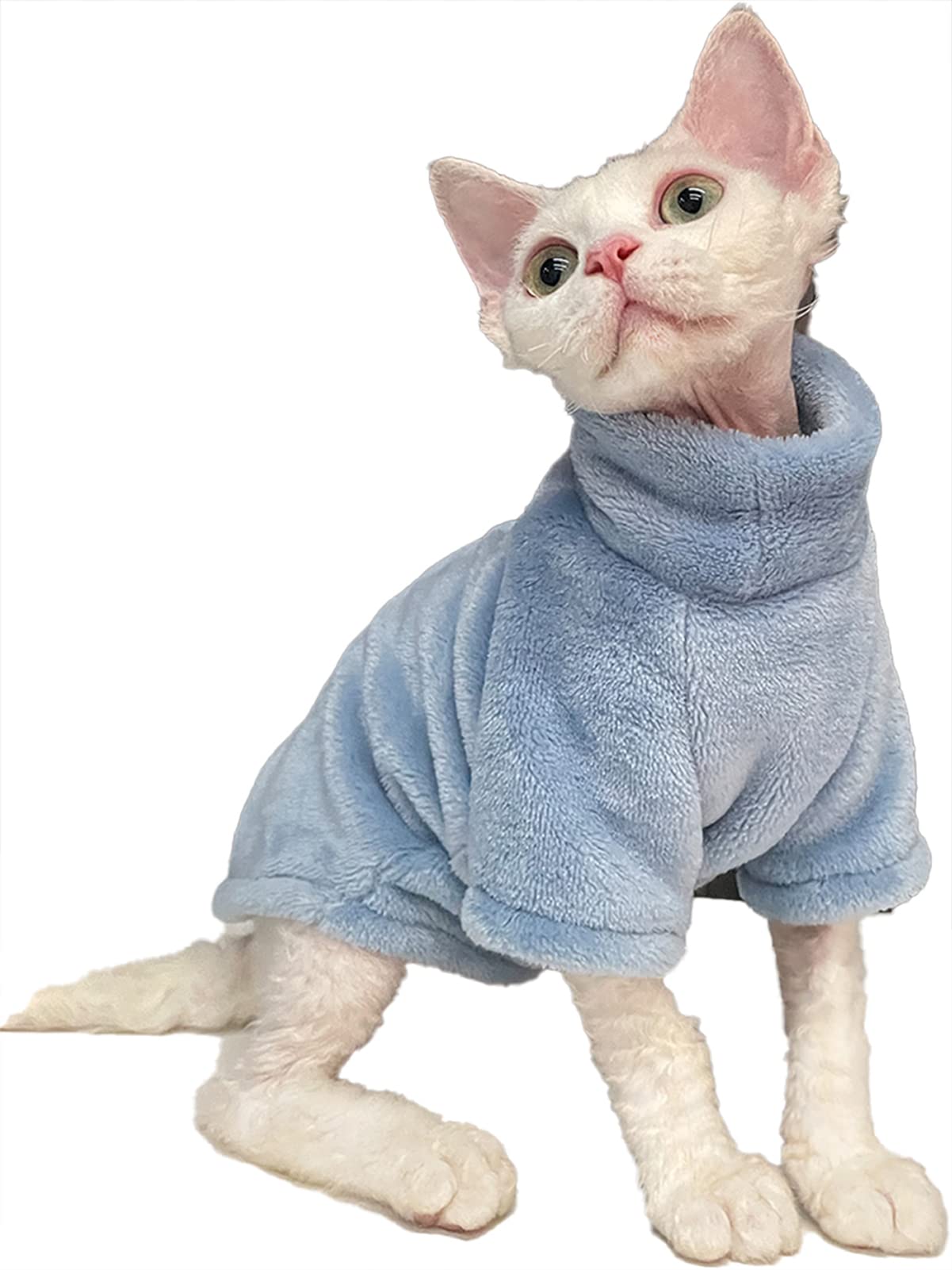 sphynx cat wear