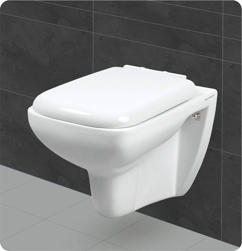 western toilet seat wall mounted
