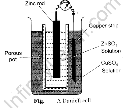 daniell cell class 12