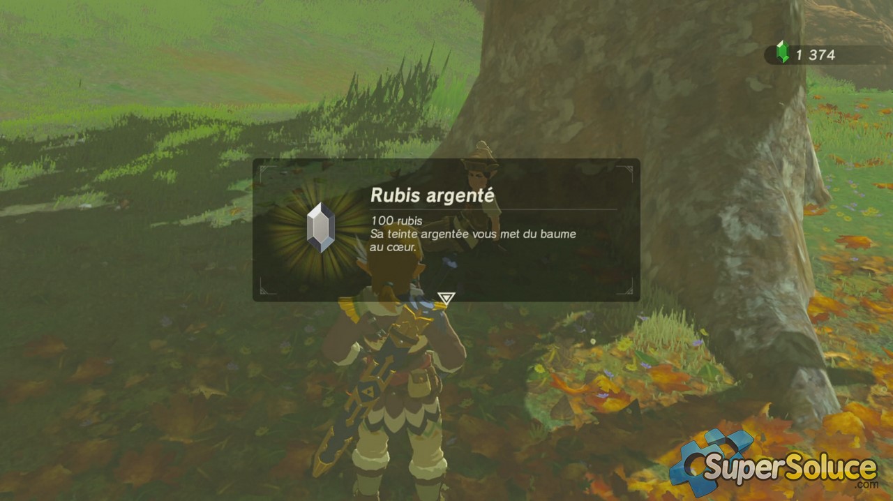 entomologie zelda