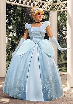 disney cinderella outfit