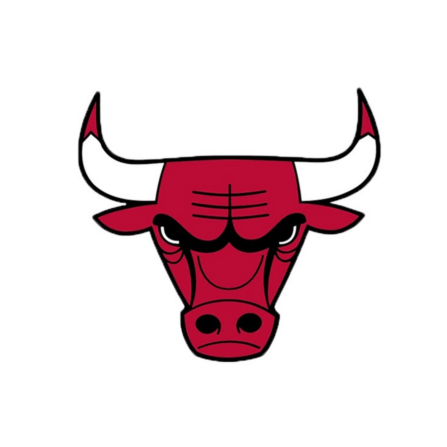 chicago bulls bull