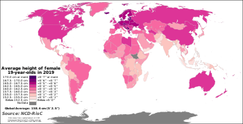 average height of a woman worldwide