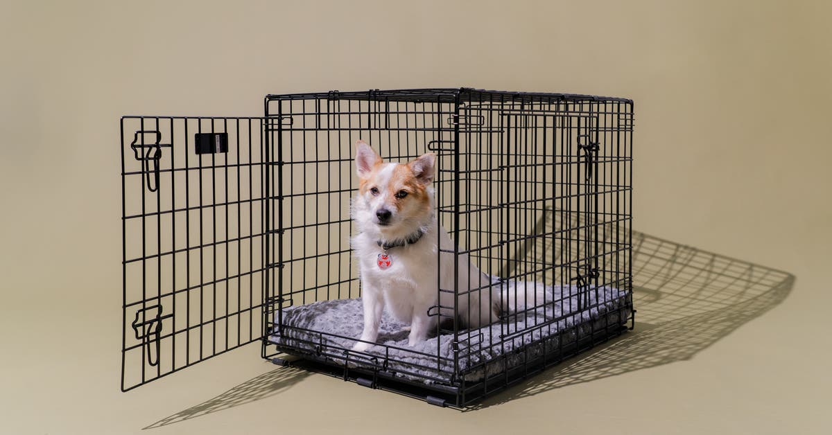 dog cages and crates