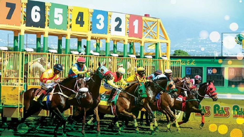 caymanas race track