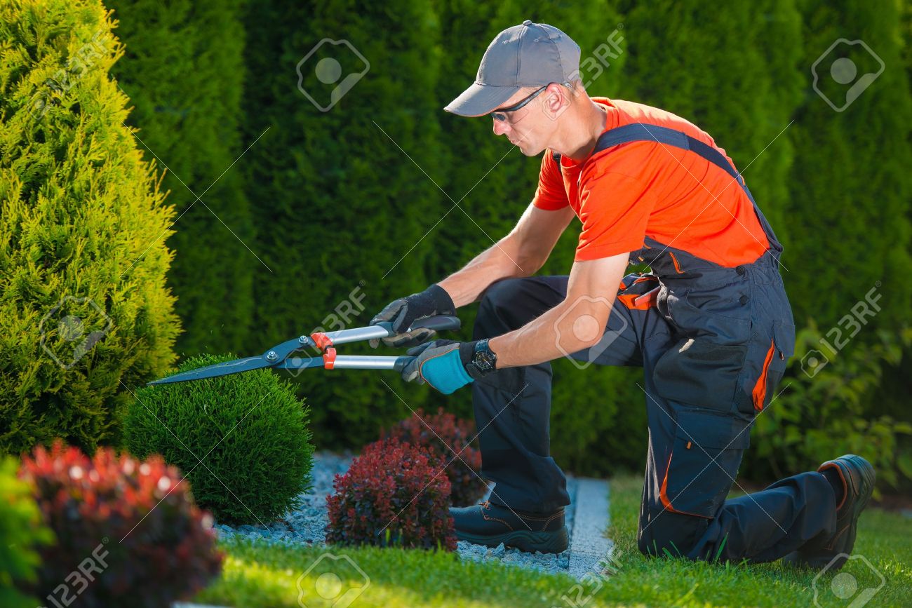 trabajos de jardinero