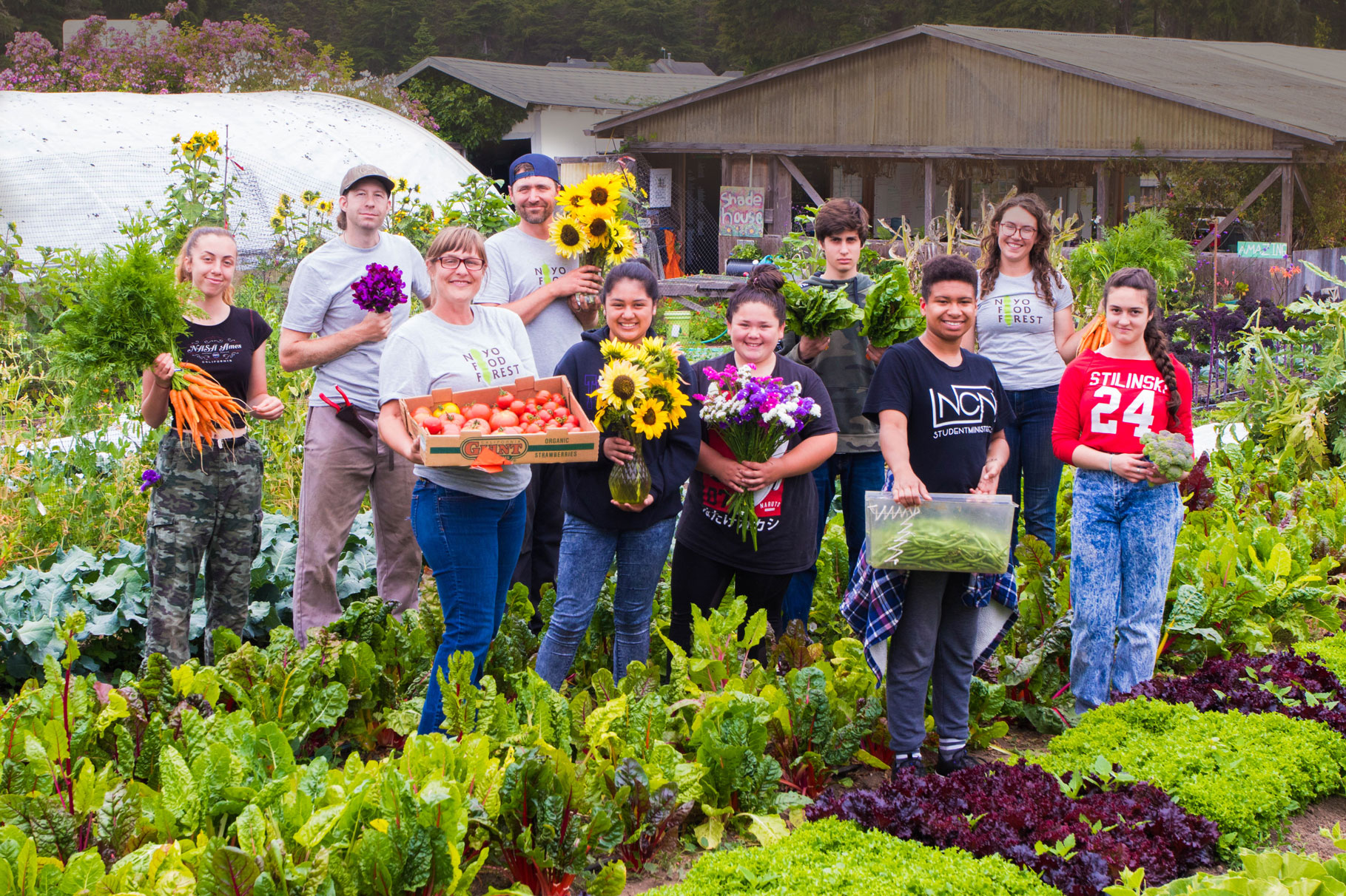 noyo food forest