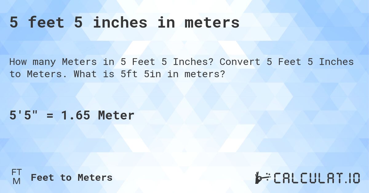 what is 5 ft 5 in meters