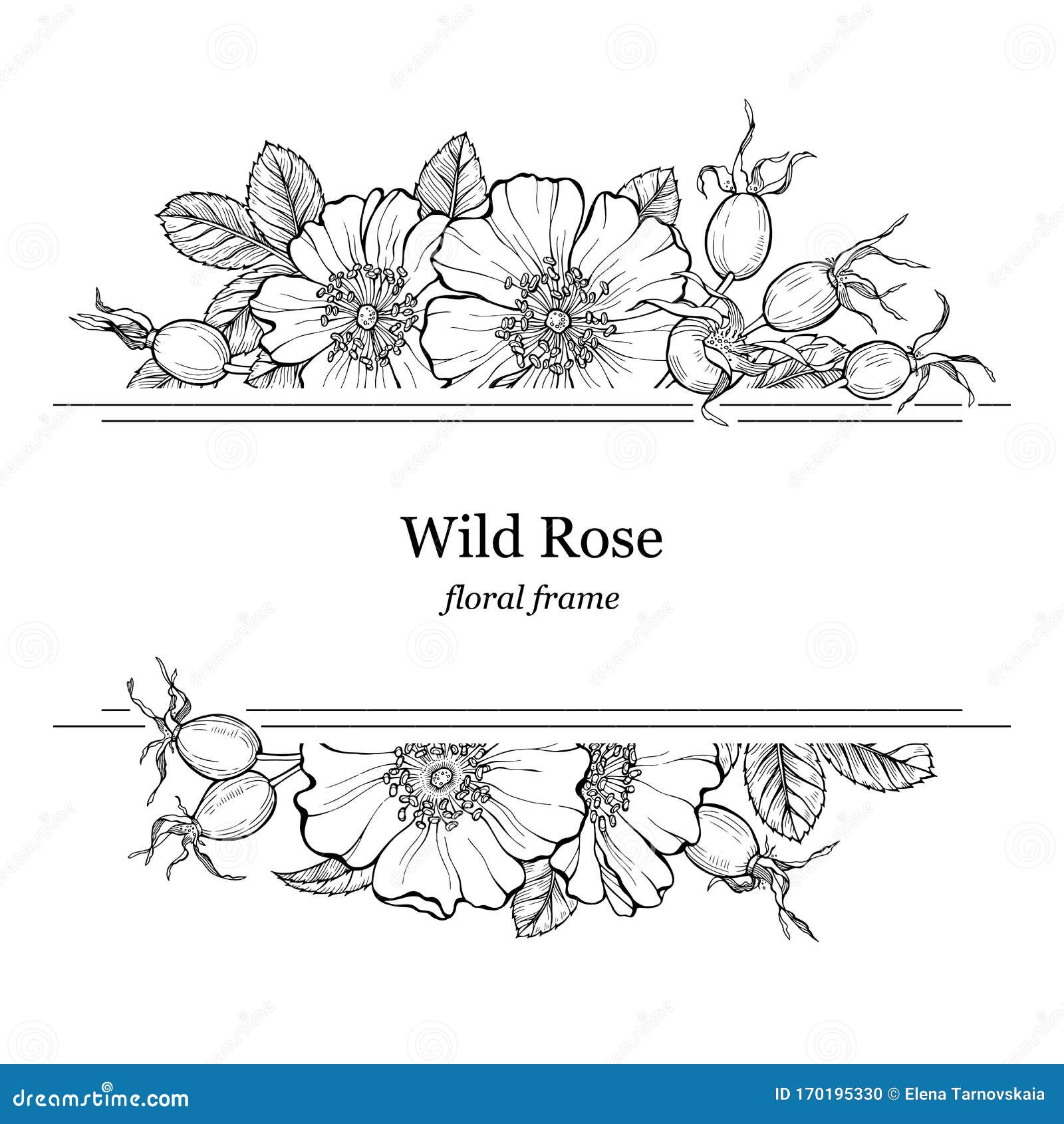 floral border design drawing