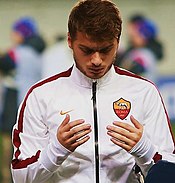 adem ljajic