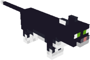 minecraft spawn black cat