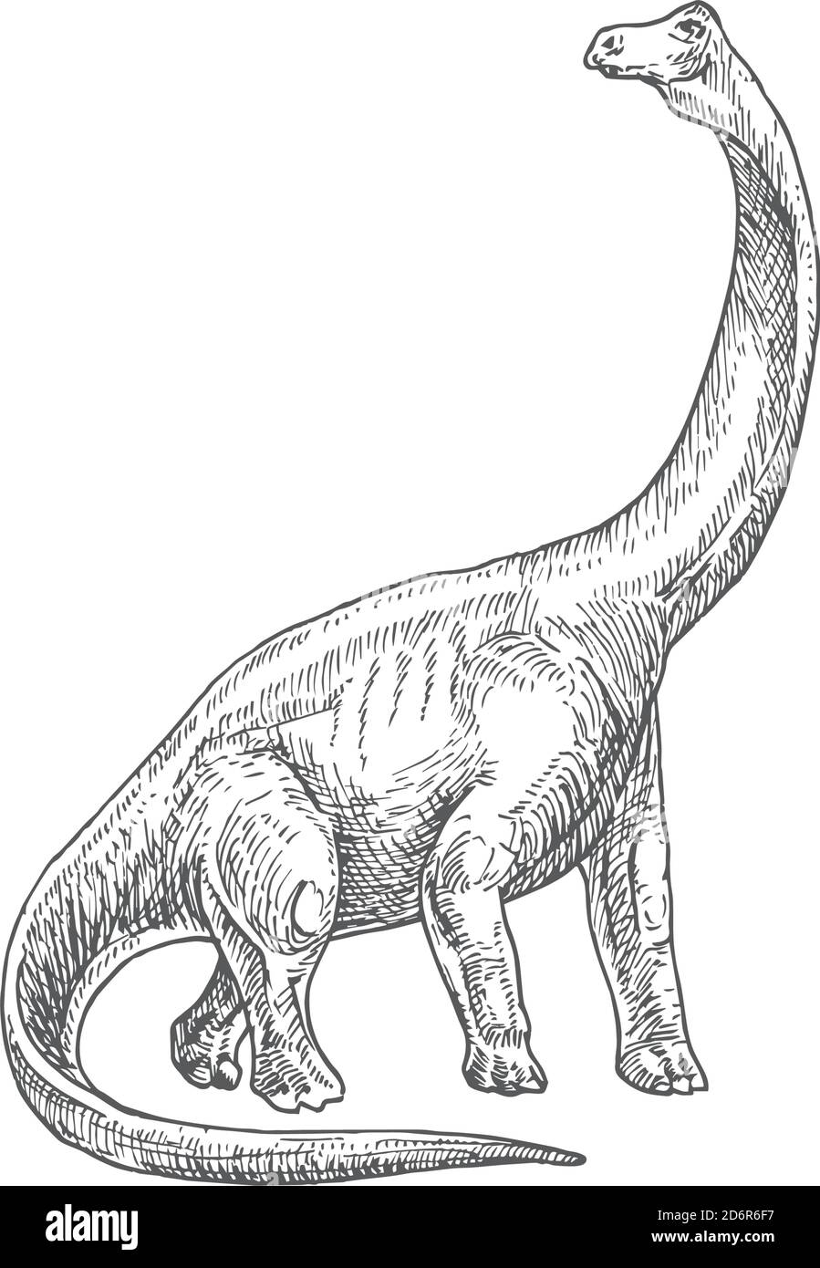 brontosaurus outline