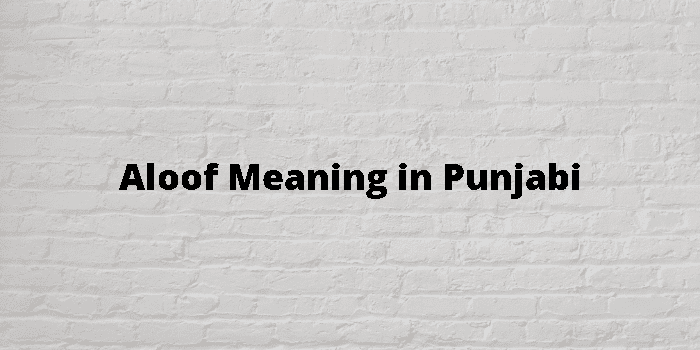 aloof meaning in punjabi