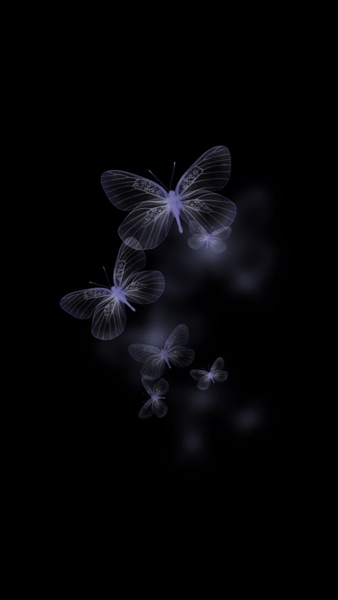 black butterfly wallpaper hd