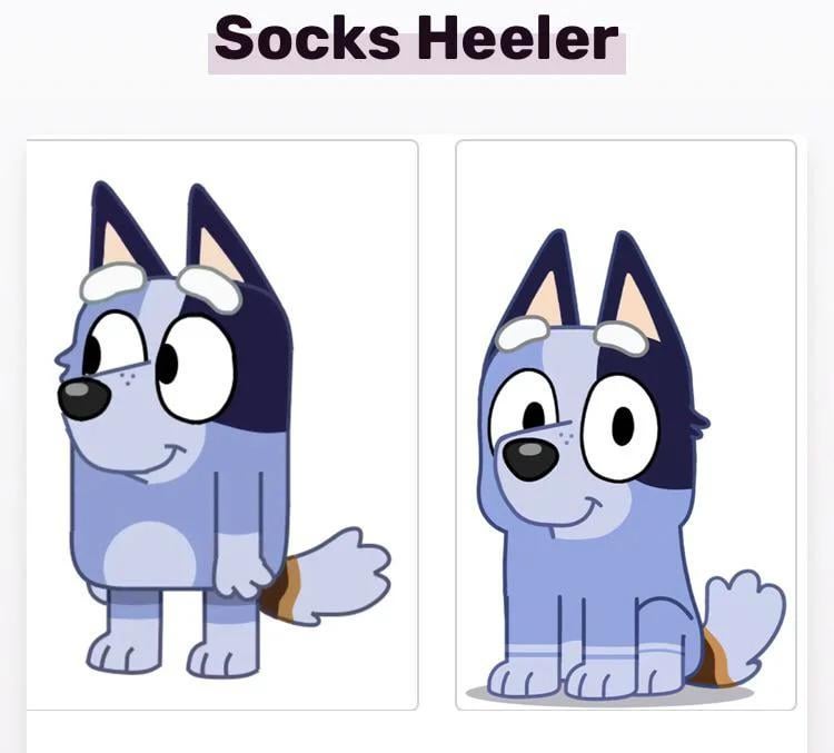 socks from bluey