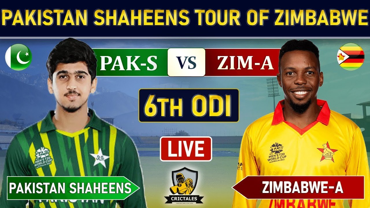 zim a vs pak shaheen