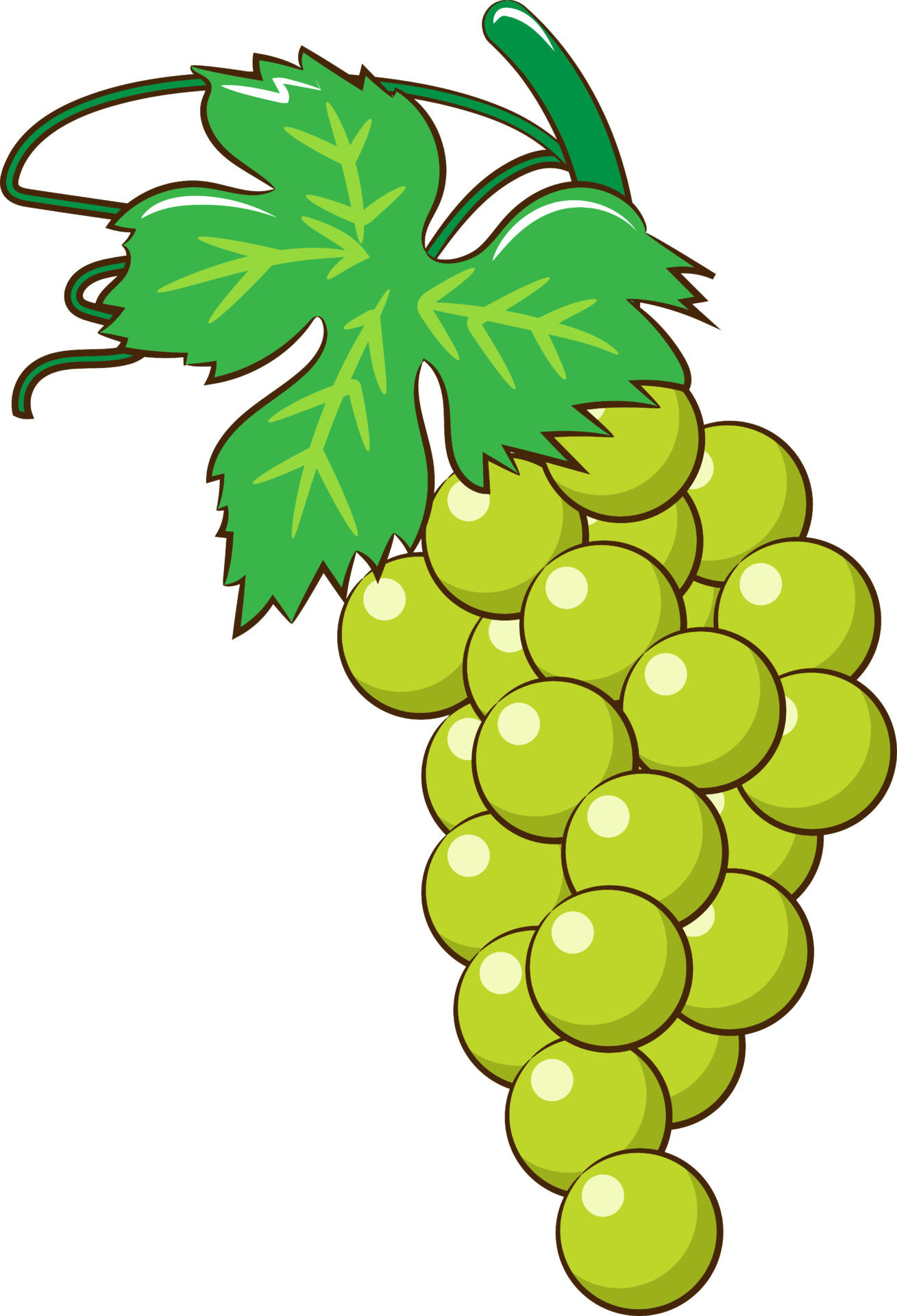 green grapes clipart