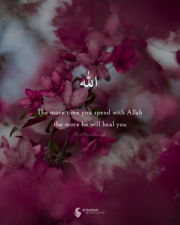 beautiful quotes of islam