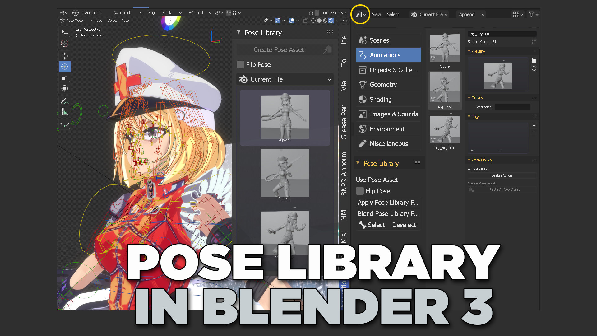 pose library blender