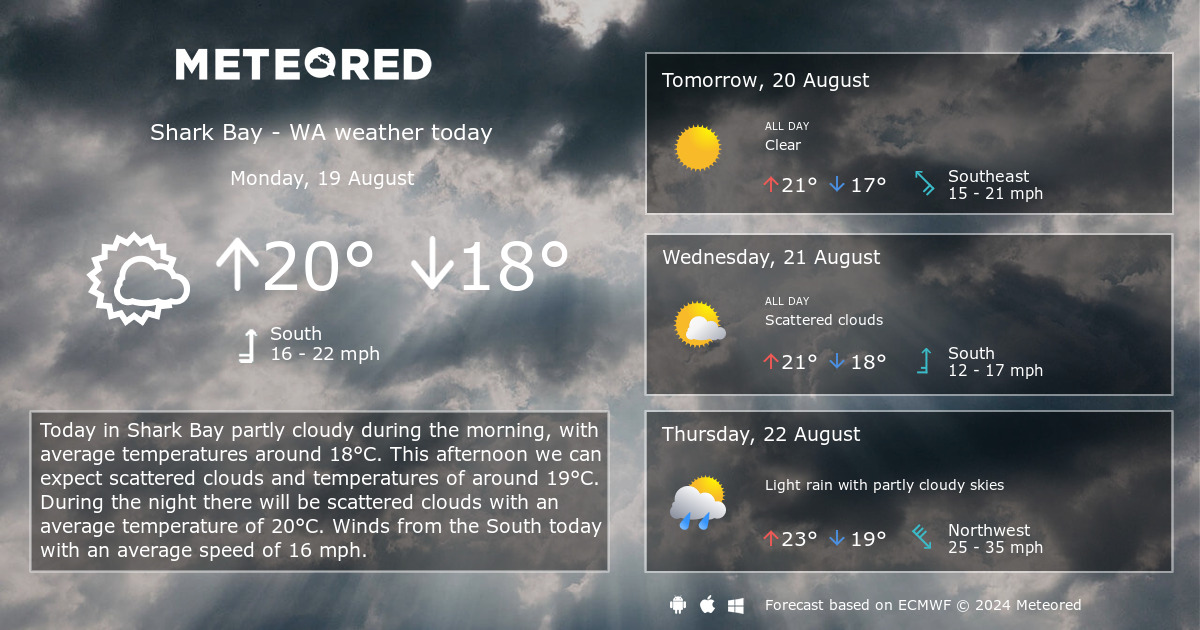 shark bay weather 14 day forecast