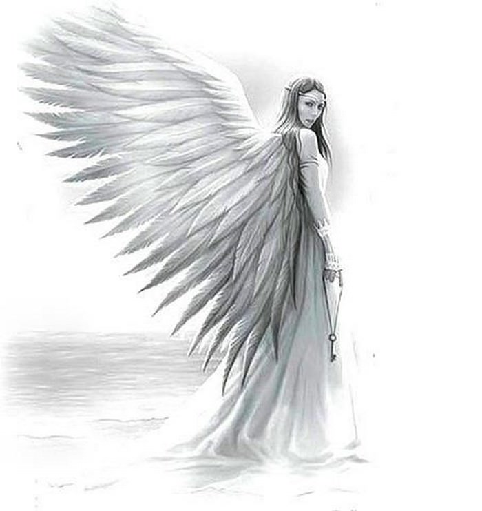 beautiful angel drawing