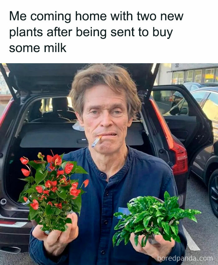 gardening memes funny
