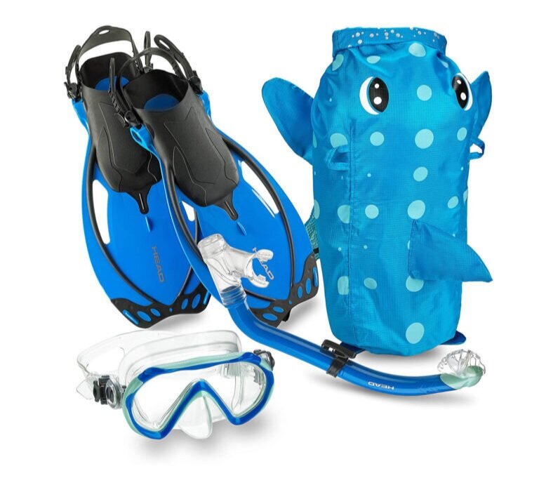 snorkeling gear nyt