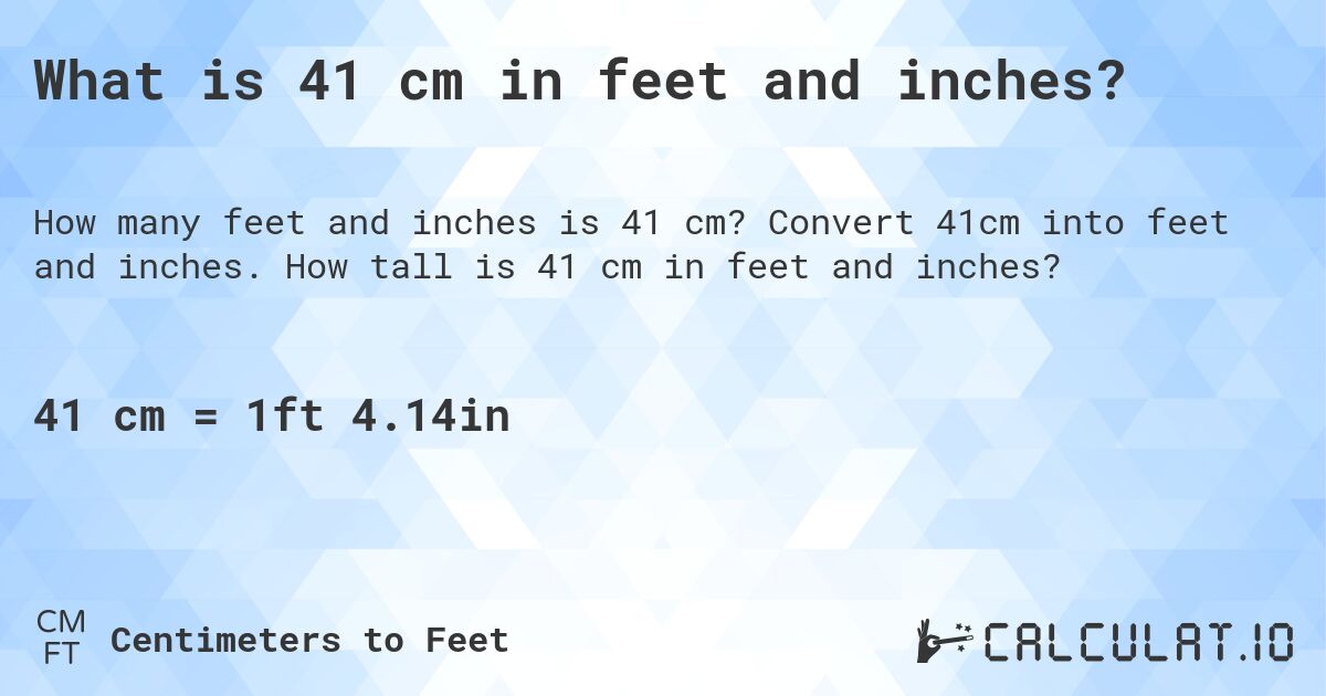 41 cm into inches