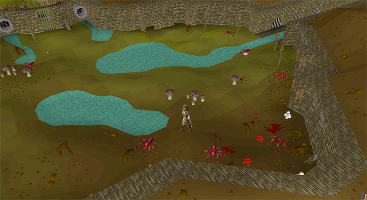 osrs red spiders