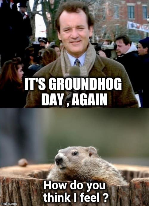 happy groundhog day memes