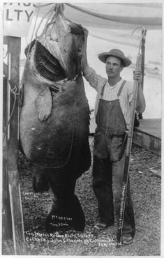 vintage fishing images