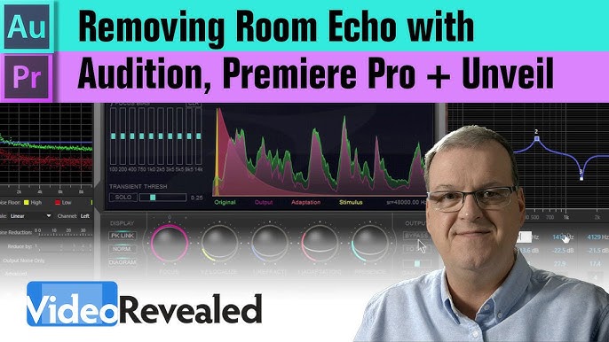 premiere pro remove echo