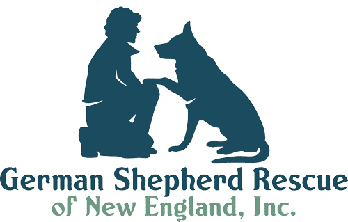 german shepherd rescue massachusetts