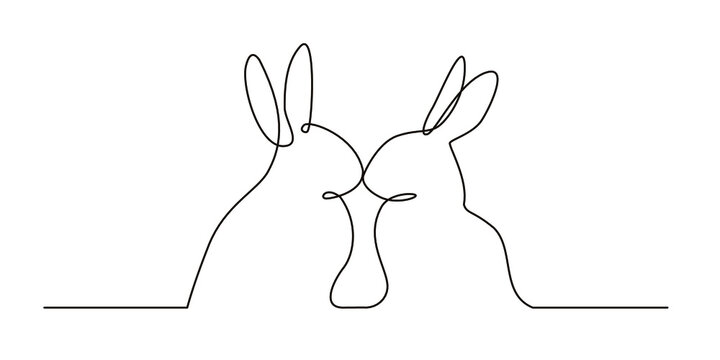 bunny line art