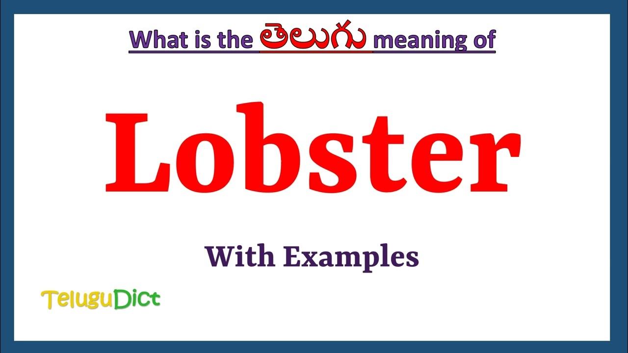 lobster in telugu word