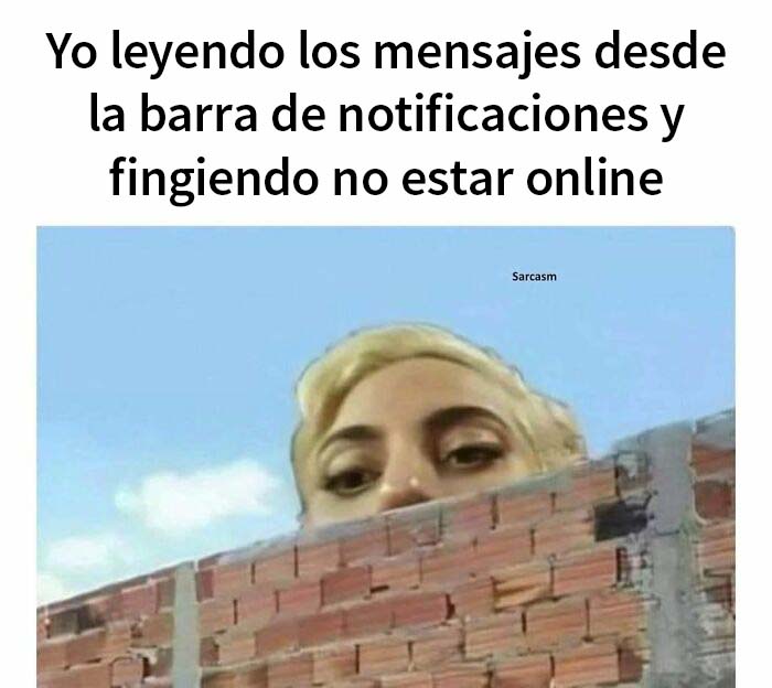 meme sarcasmo